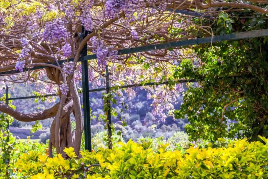 Sóller: Jardines de Alfabia Entrance Ticket - Who should book this, and who might want a different stop
