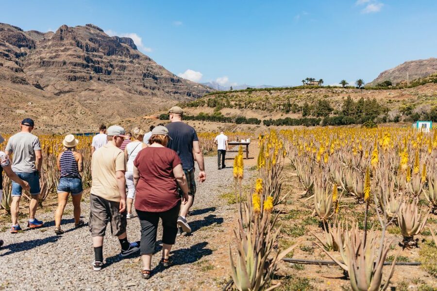 South Gran Canaria: Off-Road Valleys & Villages Jeep Tour - Key things to know before you go