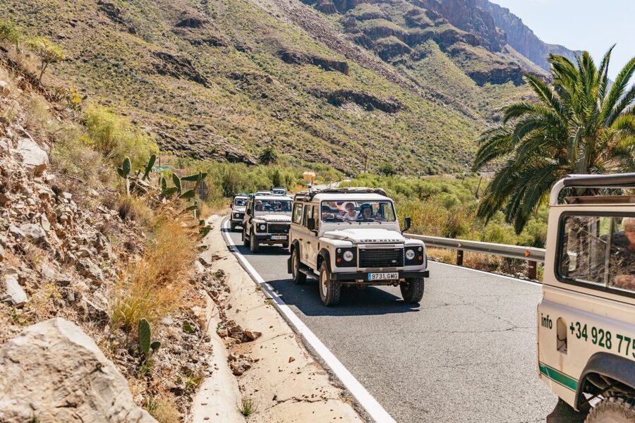 South Gran Canaria: Off-Road Valleys & Villages Jeep Tour - Presa de Chira: water in a place that usually looks dry