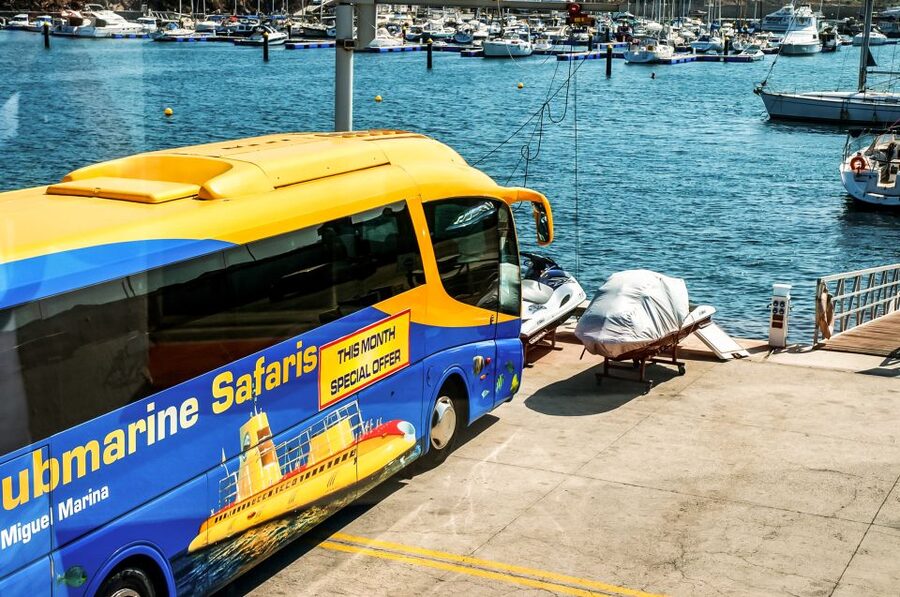Southern Tenerife: 50-Minute Submarine Dive - Key things I’d zero in on