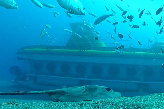 Submarine Safaris Lanzarote - Submarine Safaris Lanzarote: A Simple Bucket-List Win