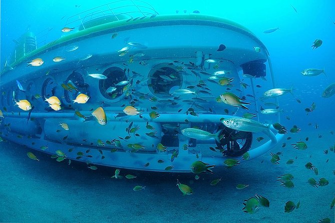Submarine Safaris Lanzarote - Price and Value: Is $83.68 Worth It?
