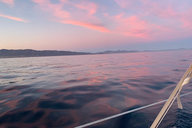 Sunset Sailing along the Marbella coast from Puerto Banus - Watching Dolphins Off Marbella: Wildlife Chances Without the Pressure