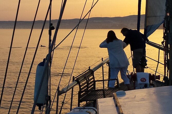 Sunset Sailing Experience in Estepona - Dolphin chances: what you’re actually signing up for