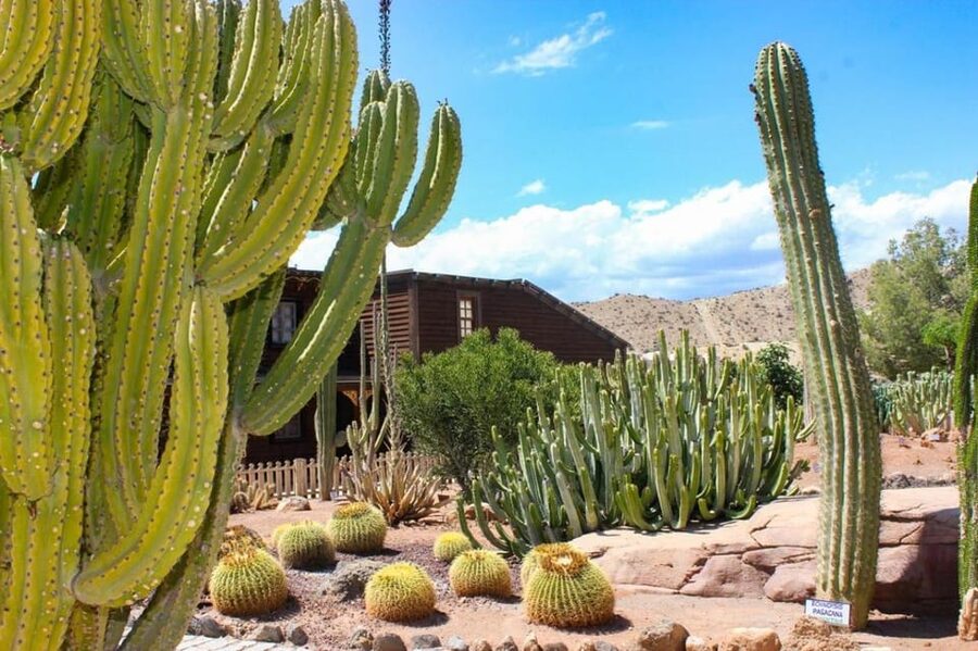 Tabernas: MiniHollywood Oasys Entry Ticket & Optional Buffet - Key Points To Know Before You Go