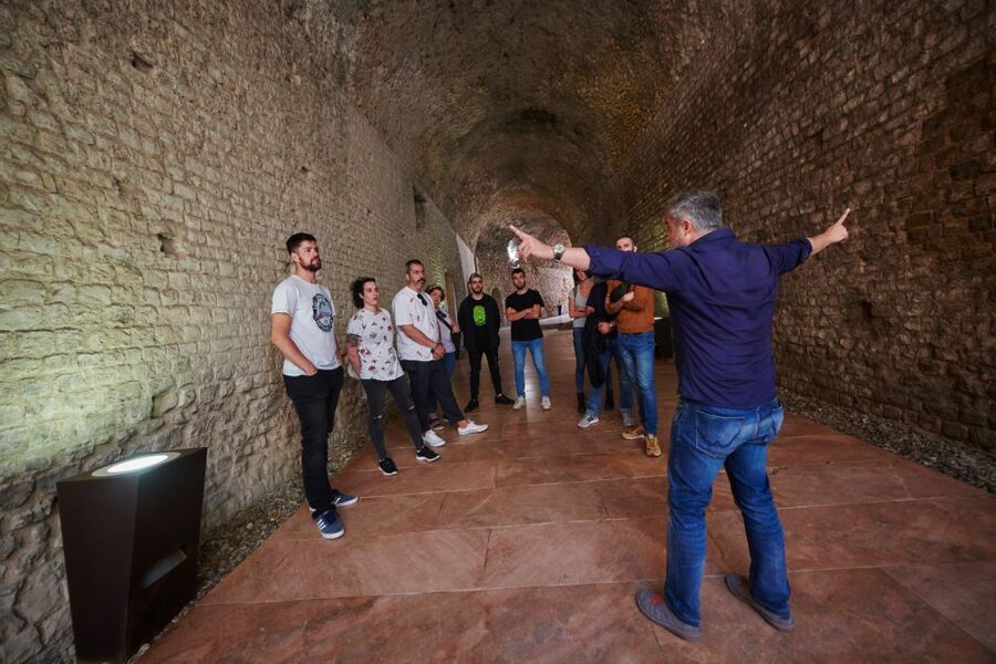 Tarragona: Roman Heritage Guided Walking Tour - Languages, guide style, and how to get the most out of it