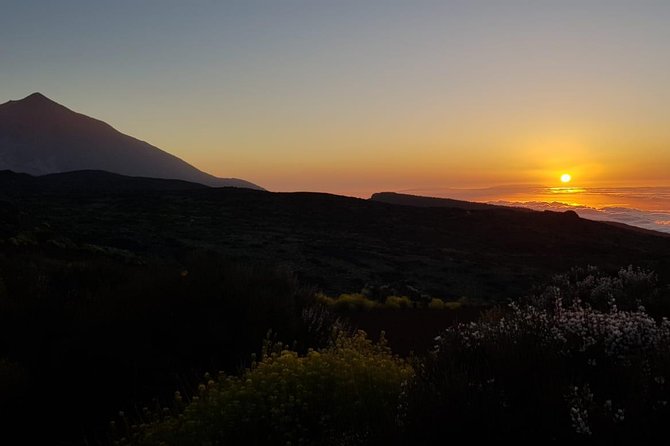 Teide by Night: Sunset & Stargazing with Telescopes Experience - Logistics that matter: timing, bus time, and pickup reality