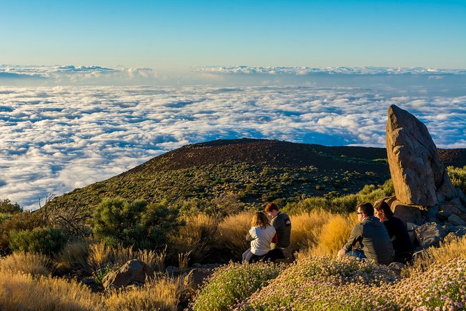 Teide by Night: Sunset & Stargazing with Telescopes Experience - Who should book Teide by Night, and who should think twice