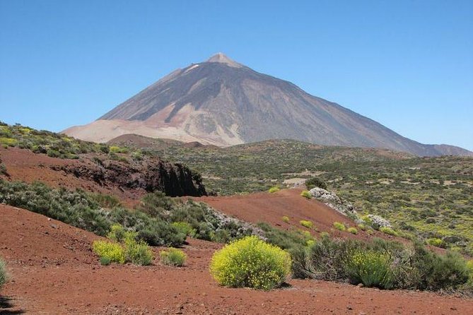 Teide National Park (5-7hours) - Pickup rules on Tenerife: where this starts, and where it doesn’t