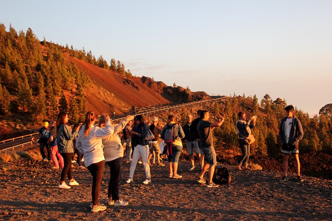 Teide National Park Exclusive and private Tour - Stop 2: El Pino Gordo, a quick look at the giant pine