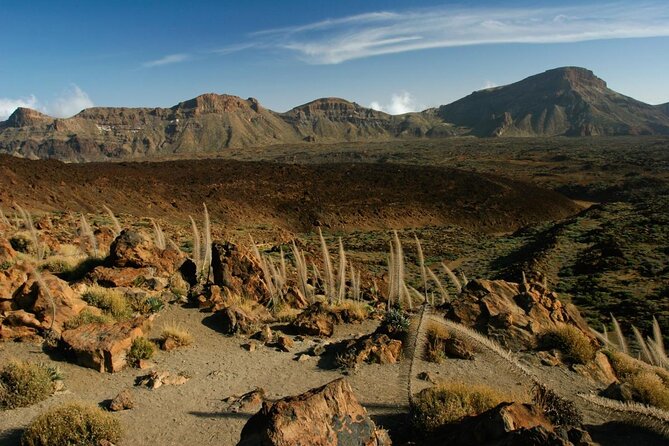 Teide National Park: Stargazing Experience - Key takeaways before you go
