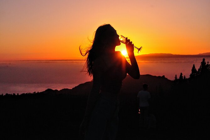 Teide National Park Sunset & Stargazing with Dinner (Star Safari) - Should You Book Teide National Park Sunset and Stargazing with Dinner?