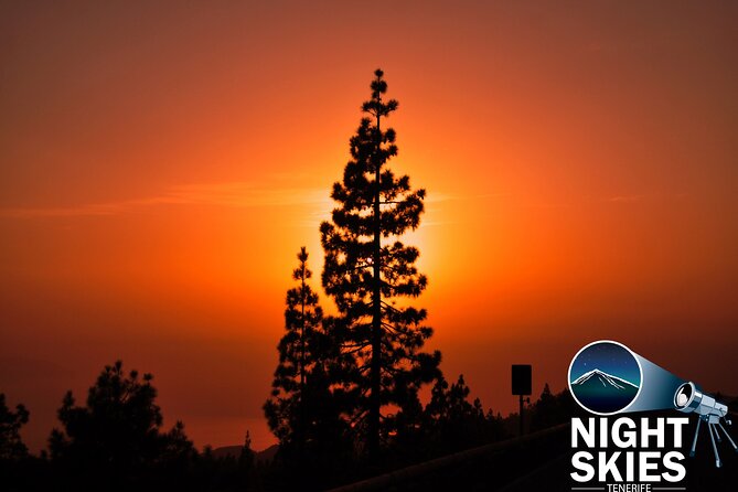 Teide National Park Sunset & Stargazing with Dinner (Star Safari) - Restaurante 7 Cañadas Dinner: More Than Food, It’s Your Buffer Zone