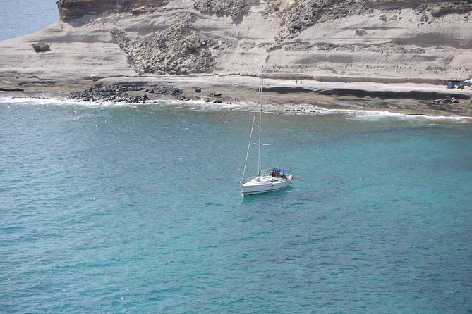 Tenerife 3-Hour Discover Whales and Dolphins - Key highlights at a glance