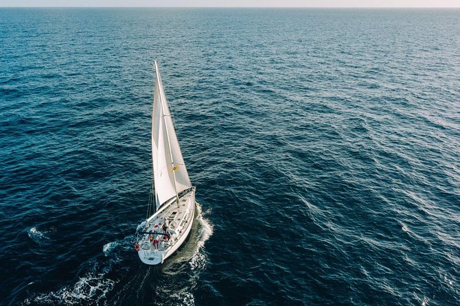Tenerife 3-Hour Discover Whales and Dolphins - Pickup, meeting point, and how to keep logistics painless