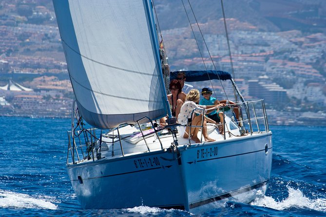 Tenerife 3-Hour Discover Whales and Dolphins - The Roulette sailboat setup: small group, big comfort