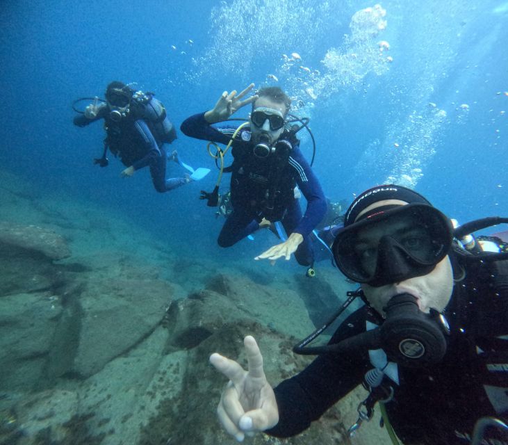 Tenerife: Beginner's Dive at a Spot with Turtle Sightings - Key things I’d mark on your map
