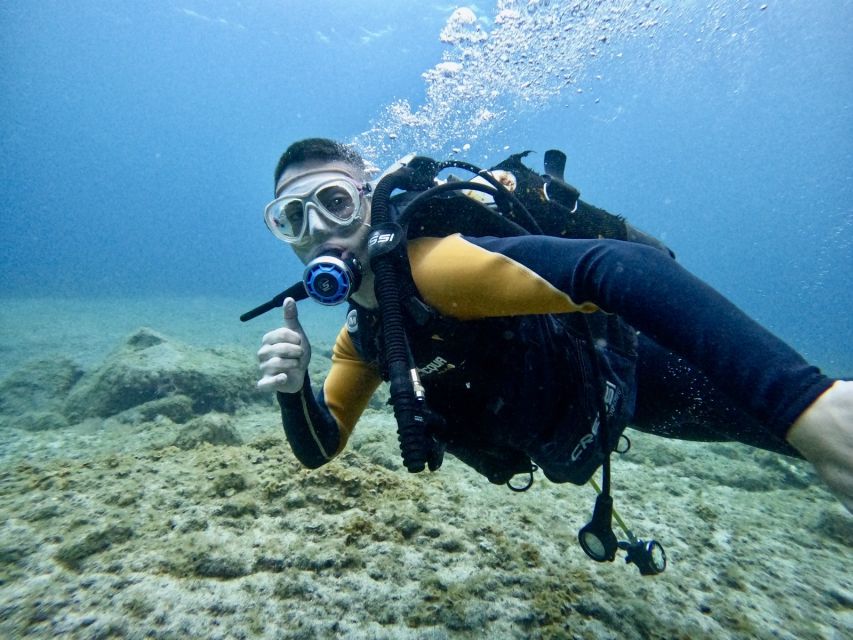 Tenerife: Beginner's Dive at a Spot with Turtle Sightings - Getting Started in Puerto Colón, with a Safety-First Plan