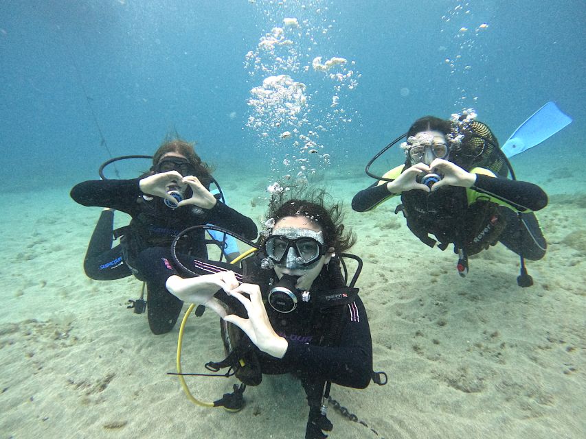 Tenerife: Beginner's Dive at a Spot with Turtle Sightings - The Short Speedboat Ride Along Tenerife’s South Coast