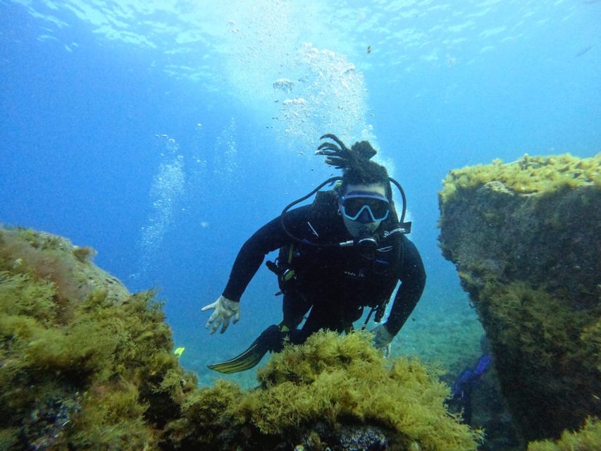 Tenerife: Beginner's Dive at a Spot with Turtle Sightings - Your First Underwater Session: Shallow Depth, Clear Guidance, Real Calm