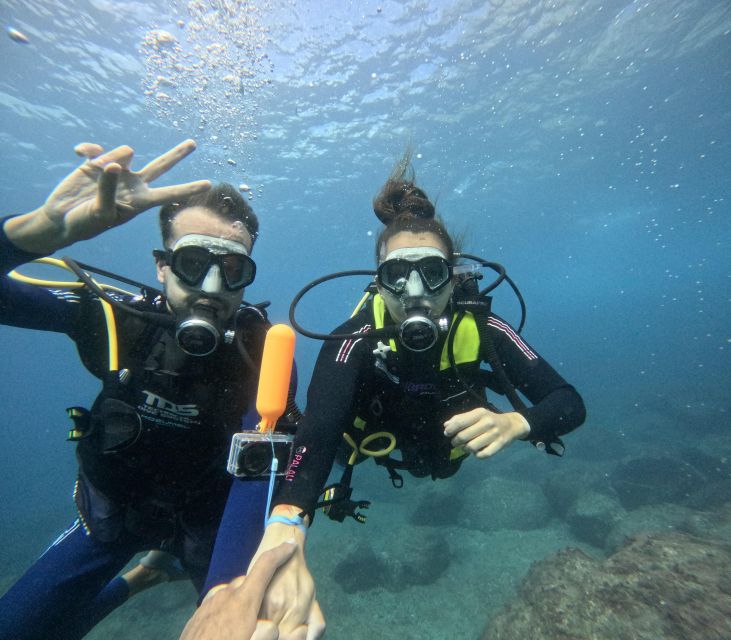 Tenerife: Beginner's Dive at a Spot with Turtle Sightings - If Weather Changes the Plan, You Still Get a Water Experience