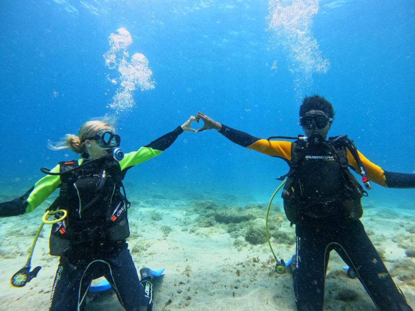 Tenerife: Beginner's Dive at a Spot with Turtle Sightings - The Optional Snorkeling Window: Why It’s a Nice Bonus for Beginners