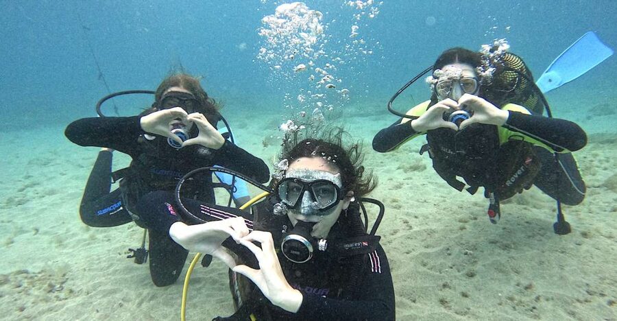 Tenerife: Beginner's Dive at a Spot with Turtle Sightings - Gear-Up Details That Make First-Time Scuba Feel Manageable