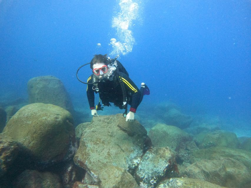 Tenerife: Beginners Scuba Dive Experience in Turtle Area - Key highlights I’d circle before booking