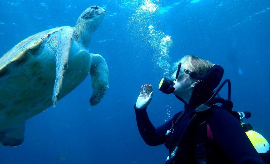 Tenerife: Beginners Scuba Dive Experience in Turtle Area - Atlantic ocean views you get even if you’re not in the water