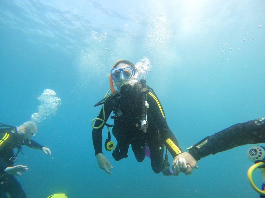 Tenerife: Beginners Scuba Dive Experience in Turtle Area - Price and value: what $85 includes, and what costs extra