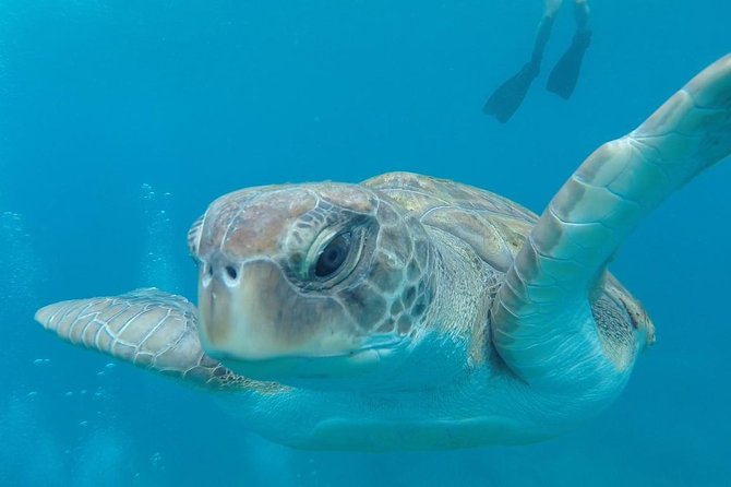 Tenerife by Kayak Adventure in small group - The kayaking part: adrenaline, yes, but also control