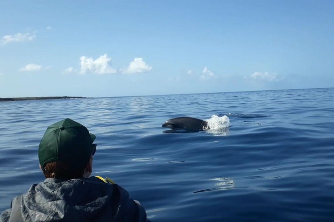 Tenerife by Kayak Adventure in small group - Who this tour is best for (and who should skip it)
