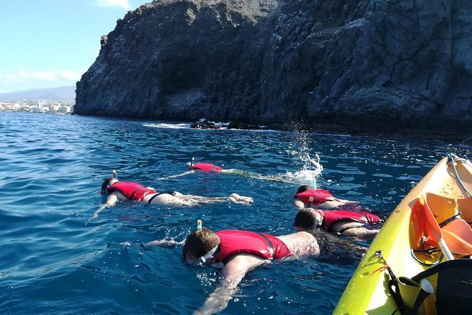 Tenerife by Kayak Adventure in small group - Montanas Guaza, Palm-Mar, and why the coastline matters
