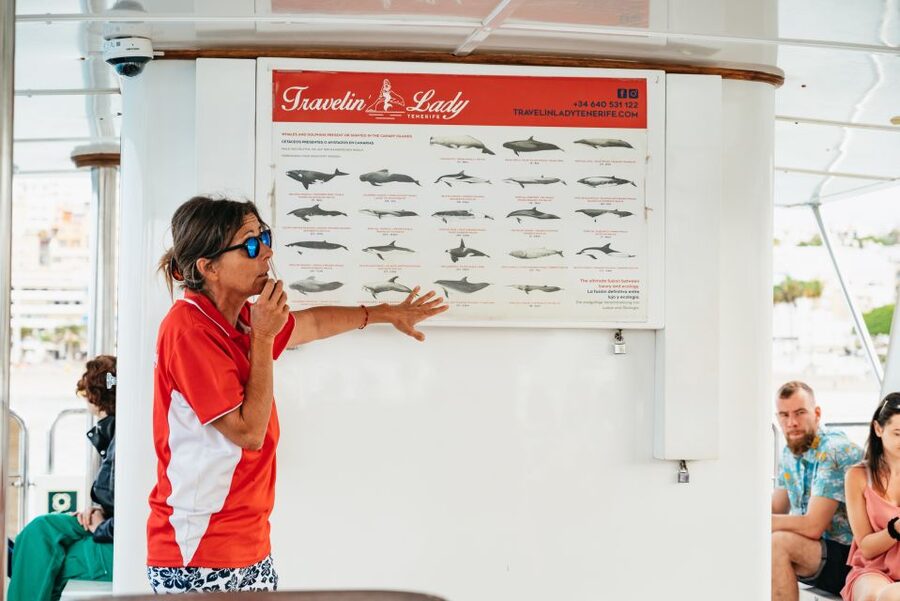 Tenerife: Eco-Yacht Whale and Dolphin Watching and Swimming - Key things I’d prioritize on this trip