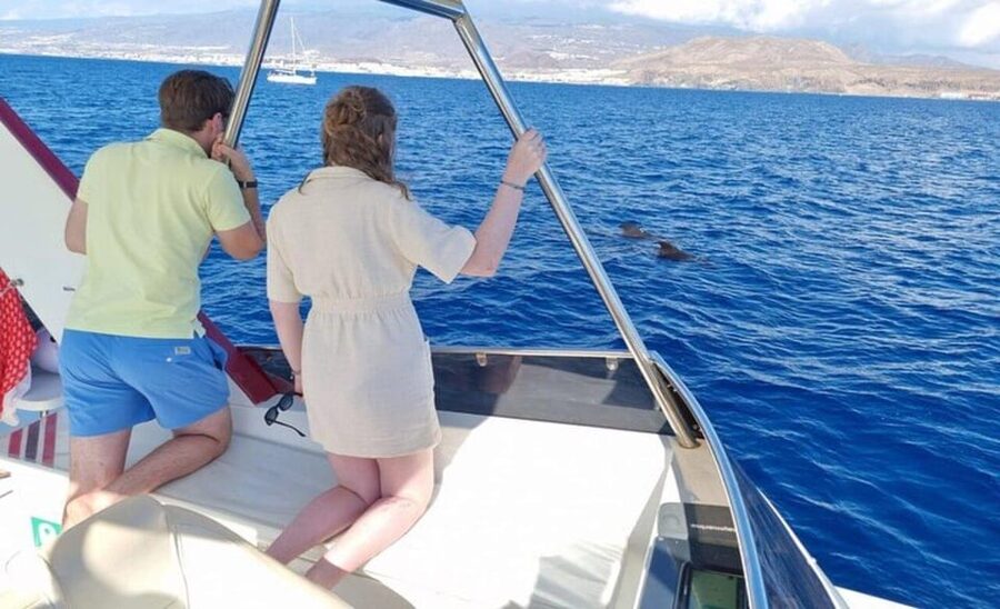 Tenerife: Eco-Yacht Whale and Dolphin Watching and Swimming - The swim stop: why it feels like part of the trip, not a bonus