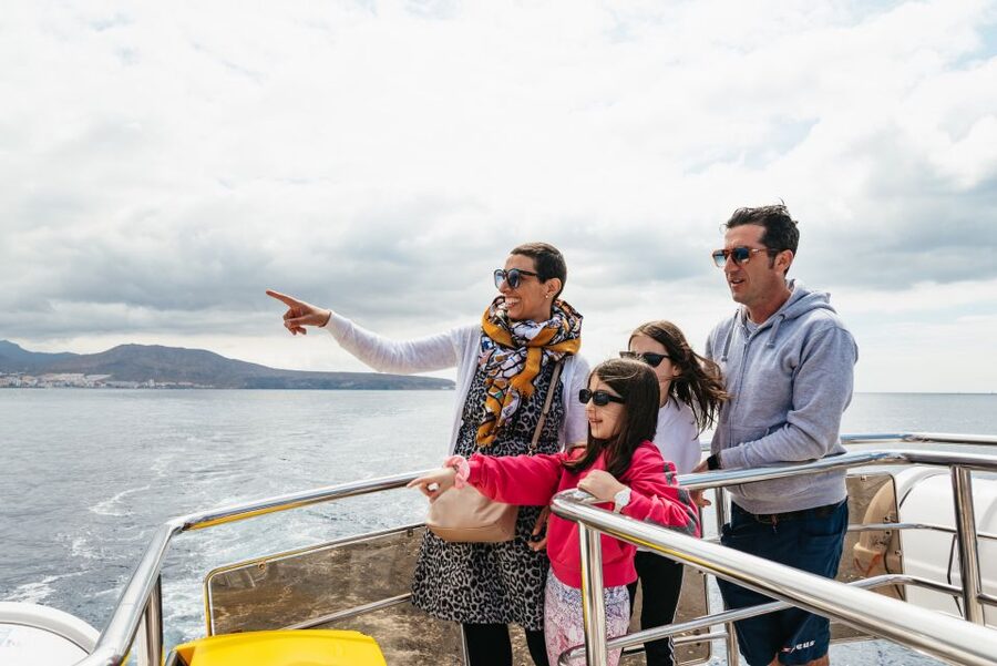 Tenerife: Eco-Yacht Whale and Dolphin Watching and Swimming - When to go for better odds of spotting animals