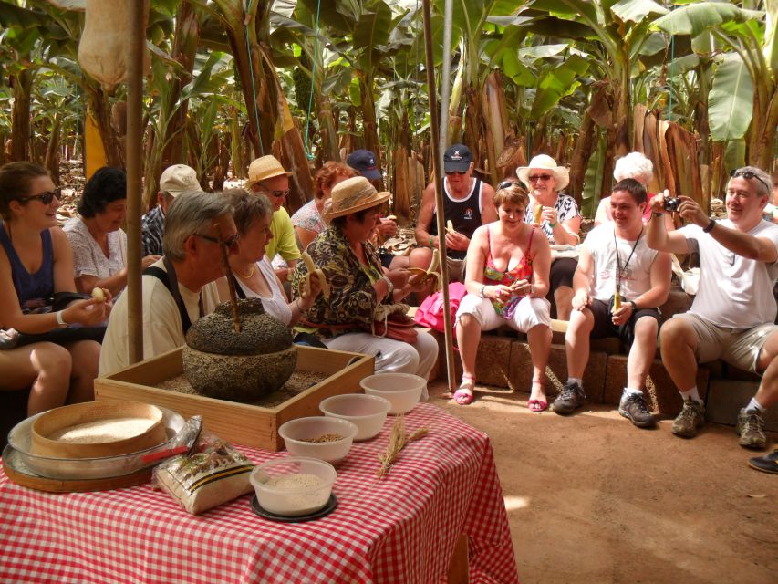Tenerife: Finca Las Margaritas Banana Plantation Experience - Who should book this and who might skip it