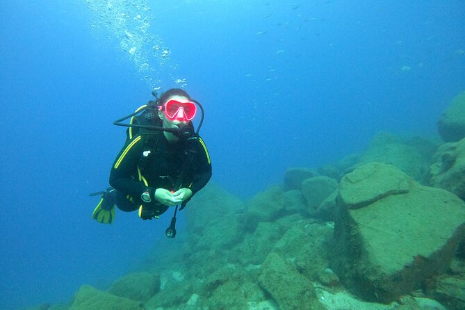 Tenerife First Time Scuba Dive – Turtle Habitat, Small Groups - The Boat Ride Out: Quick Transport, Real Wildlife Chance