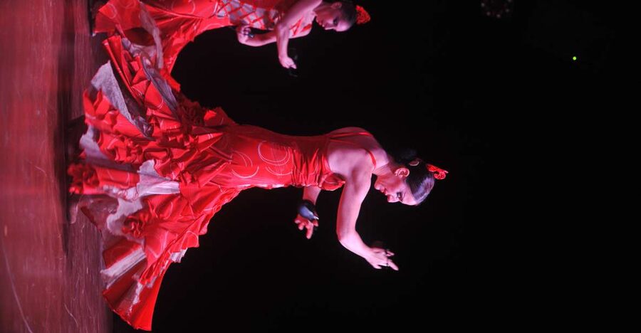 Tenerife: Flamenco Performance at Teatro Coliseo - VIP vs Standard: Drinks and Seating That Change Your View