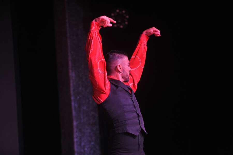 Tenerife: Flamenco Performance at Teatro Coliseo - Getting There: Remote Venue, Parking, and a Taxi Plan