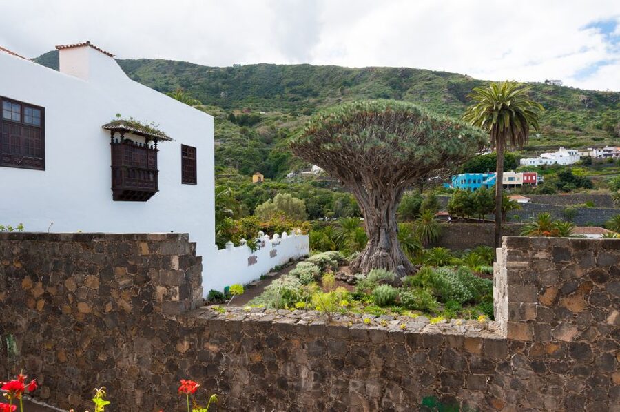 Tenerife: Full-Day Guided Island Tour - The value of an 8-hour guided loop around Tenerife’s perimeter