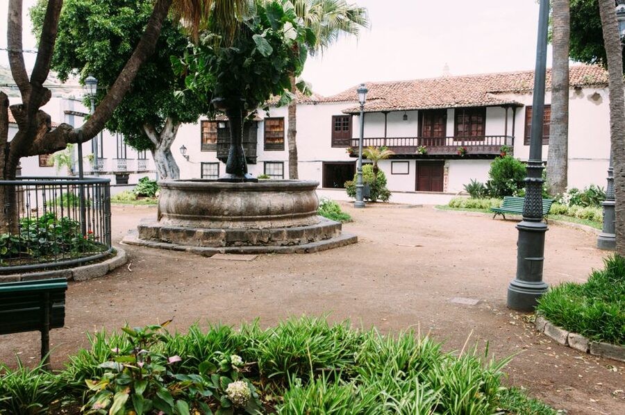 Tenerife: Full-Day Guided Island Tour - Icod de los Vinos and the Dragon Tree moment