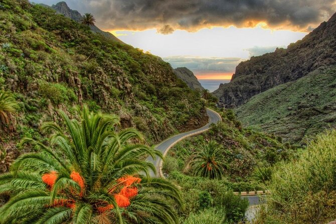 Tenerife Grand Tour: including Teide National Park and Masca - Key Things I’d Prioritize Before You Go
