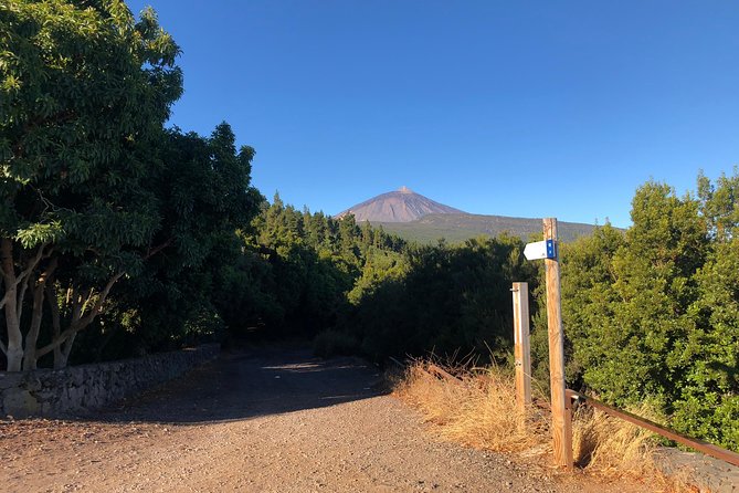 Tenerife Grand Tour: including Teide National Park and Masca - Teide National Park and Los Roques de Garcia: Photos in Volcano Mode