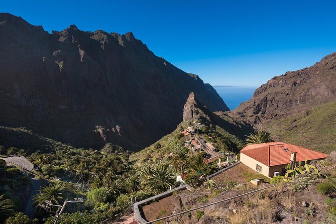 Tenerife Grand Tour: including Teide National Park and Masca - Food, Lunch Break, and What You Should Pack
