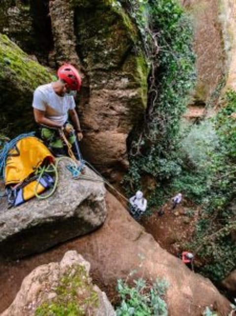 Tenerife: Guided Canyoning Experience in Los Arcos - Price and value: why $82 can be a great deal for this kind of day