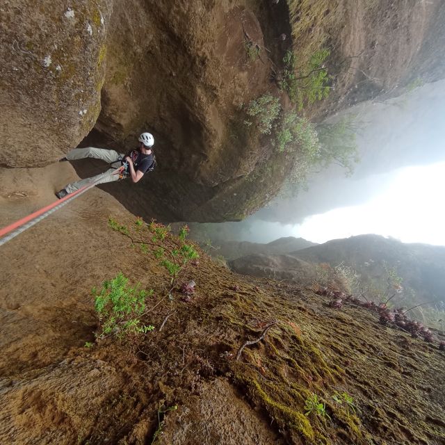 Tenerife: Guided Canyoning Experience in Los Arcos - The approach trail: forest time, endemic flora, and post-fire walking