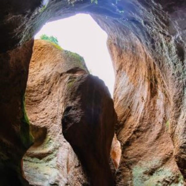 Tenerife: Guided Canyoning Experience in Los Arcos - Gear up at Casa Forestal, the training workshop, and how safety is handled