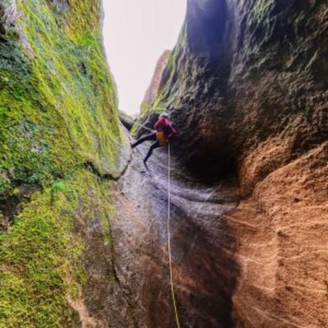 Tenerife: Guided Canyoning Experience in Los Arcos - The abseils: up to 20 meters, volcanic ash walls, and different drops