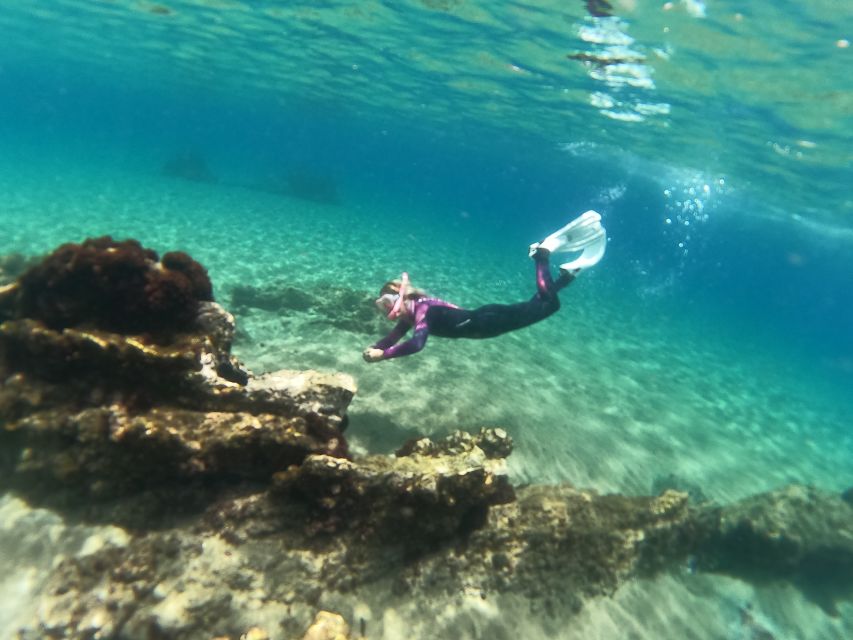 Tenerife: Half-Day Snorkeling Tour - Why Abades Bay is a smart Tenerife snorkeling choice